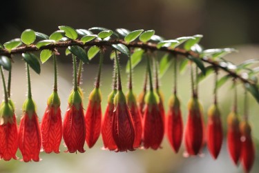 东莞长安私人快速借钱网，轻松解决资金难题