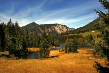 东莞长安民间私贷攻略：揭秘低成本借贷的秘密