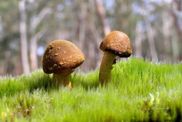 东莞长安私人老板放款：轻松融资的秘密通道